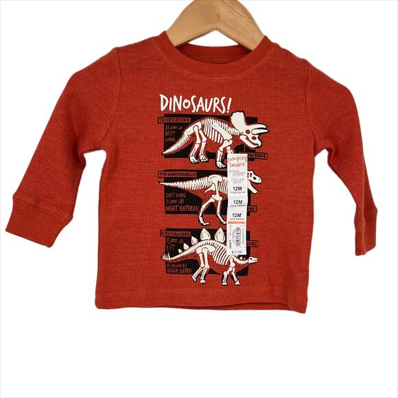Jumping Beans Toddler Boys Dinosaurs Thermal T-Shirt in Rust Size 12 Months - Picture 4 of 11